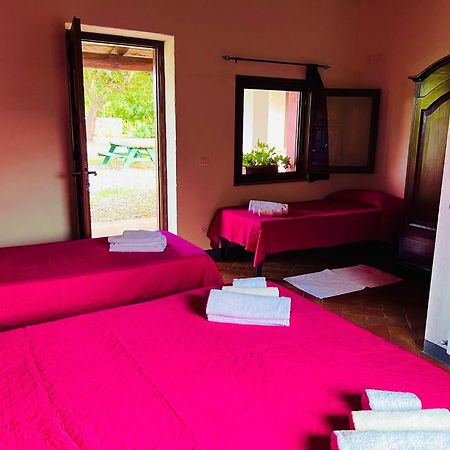 Agriturismo Conca' E Janas Доргали Номер фото