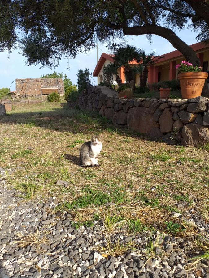 Agriturismo Conca' E Janas Доргали Экстерьер фото