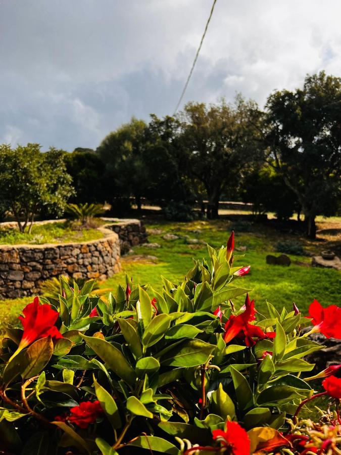 Agriturismo Conca' E Janas Доргали Экстерьер фото
