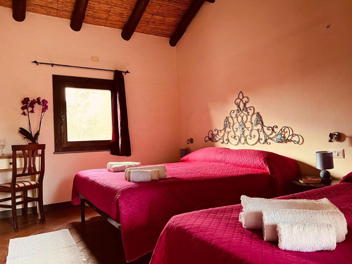 Agriturismo Conca' E Janas Доргали Номер фото