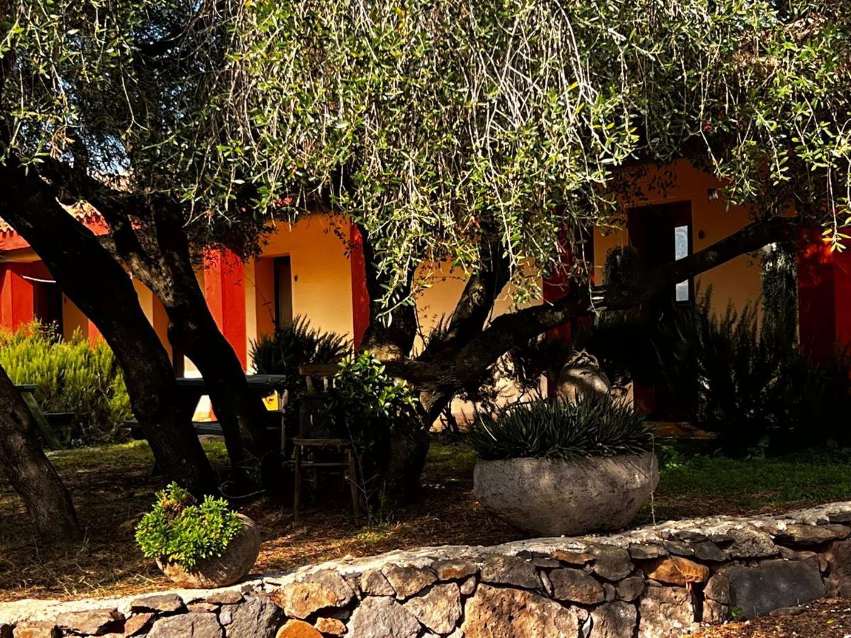 Agriturismo Conca' E Janas Доргали Экстерьер фото