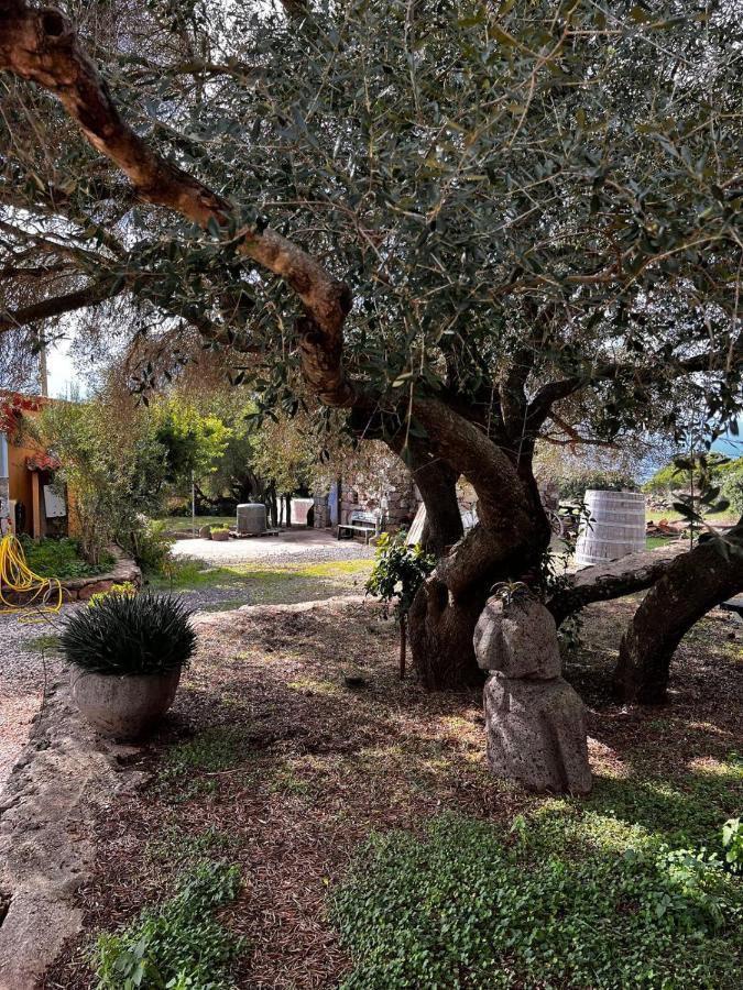 Agriturismo Conca' E Janas Доргали Экстерьер фото