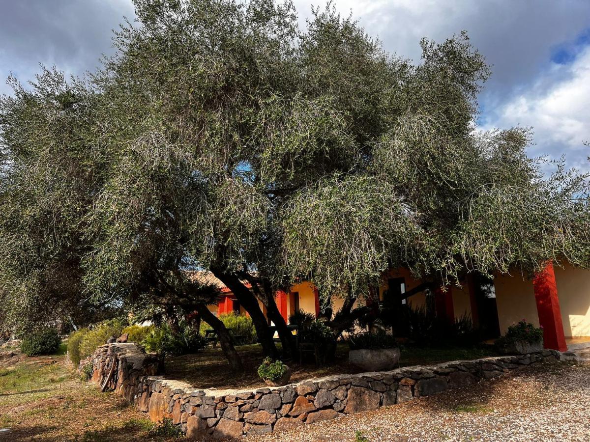 Agriturismo Conca' E Janas Доргали Экстерьер фото