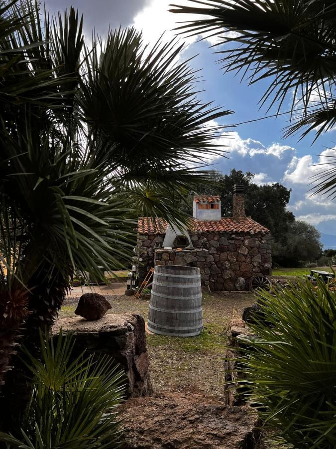 Agriturismo Conca' E Janas Доргали Экстерьер фото