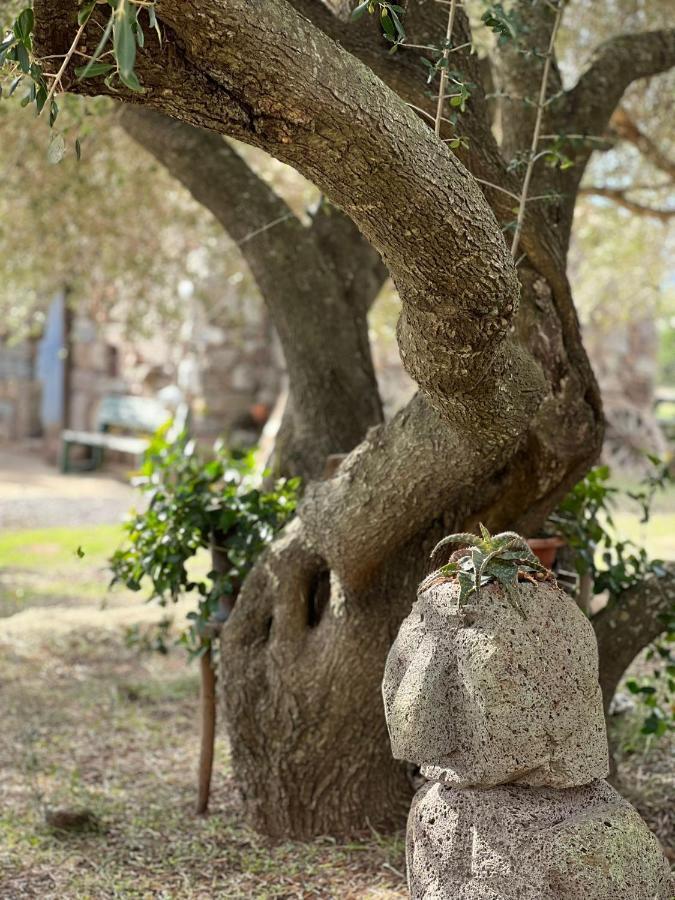 Agriturismo Conca' E Janas Доргали Экстерьер фото