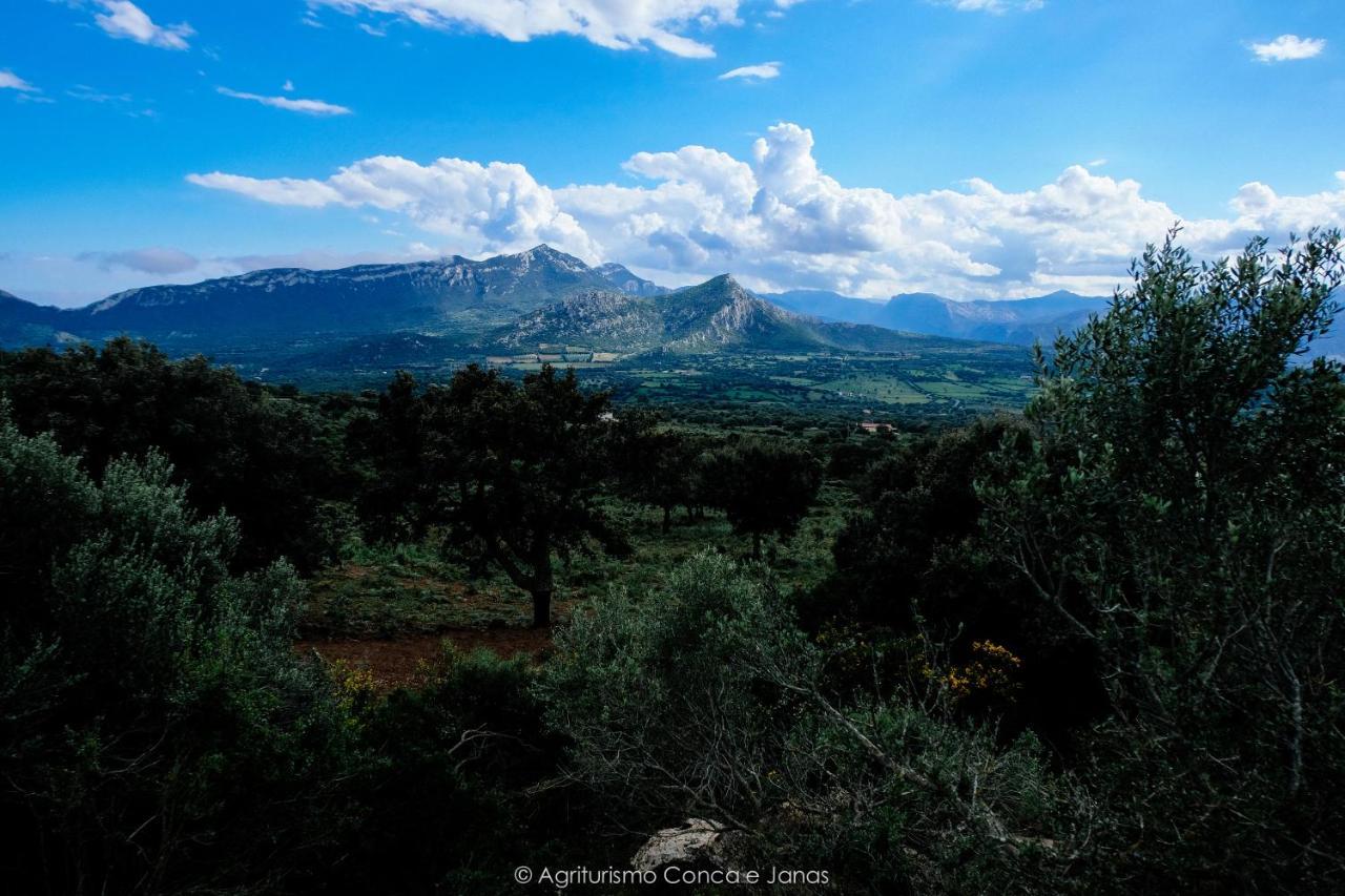 Agriturismo Conca' E Janas Доргали Экстерьер фото