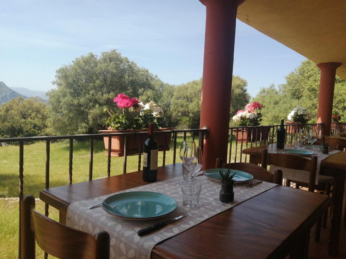 Agriturismo Conca' E Janas Доргали Экстерьер фото