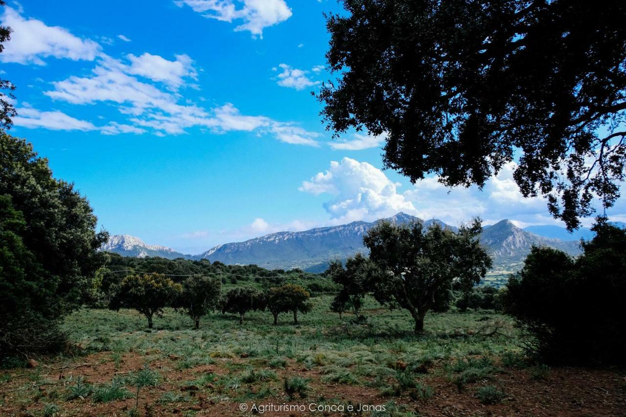 Agriturismo Conca' E Janas Доргали Экстерьер фото